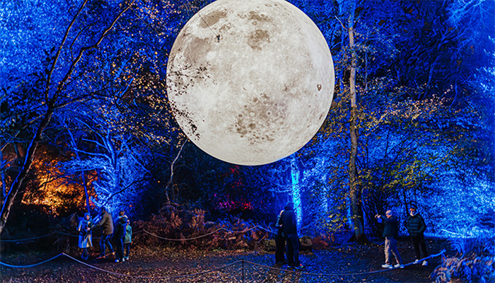 rigging neverland illuminova at wellington country park 2023 thumbnail